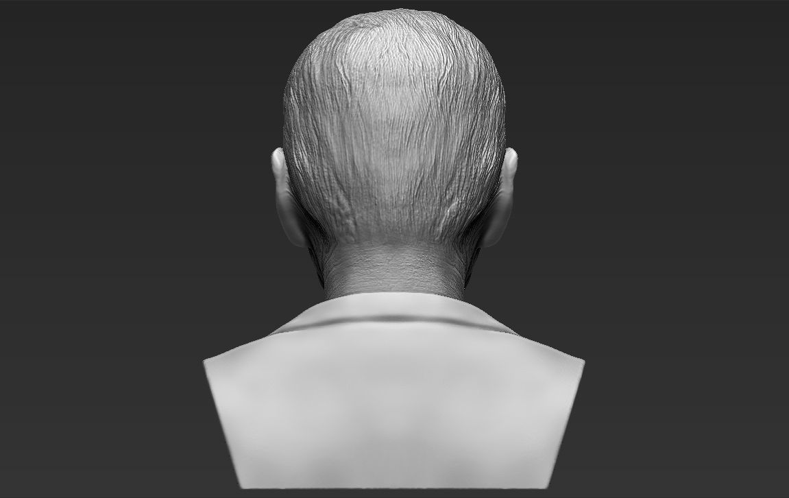 Prince Philip bust 3D printing ready stl obj formats 3D print model_7