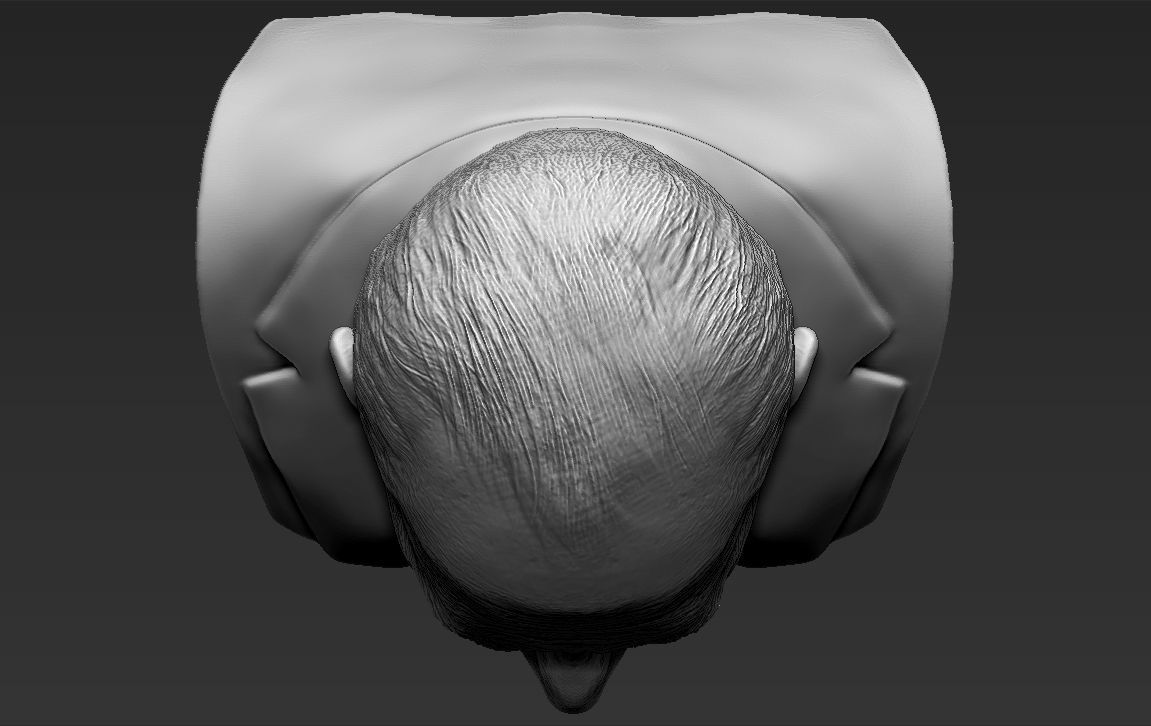 Prince Philip bust 3D printing ready stl obj formats 3D print model_21