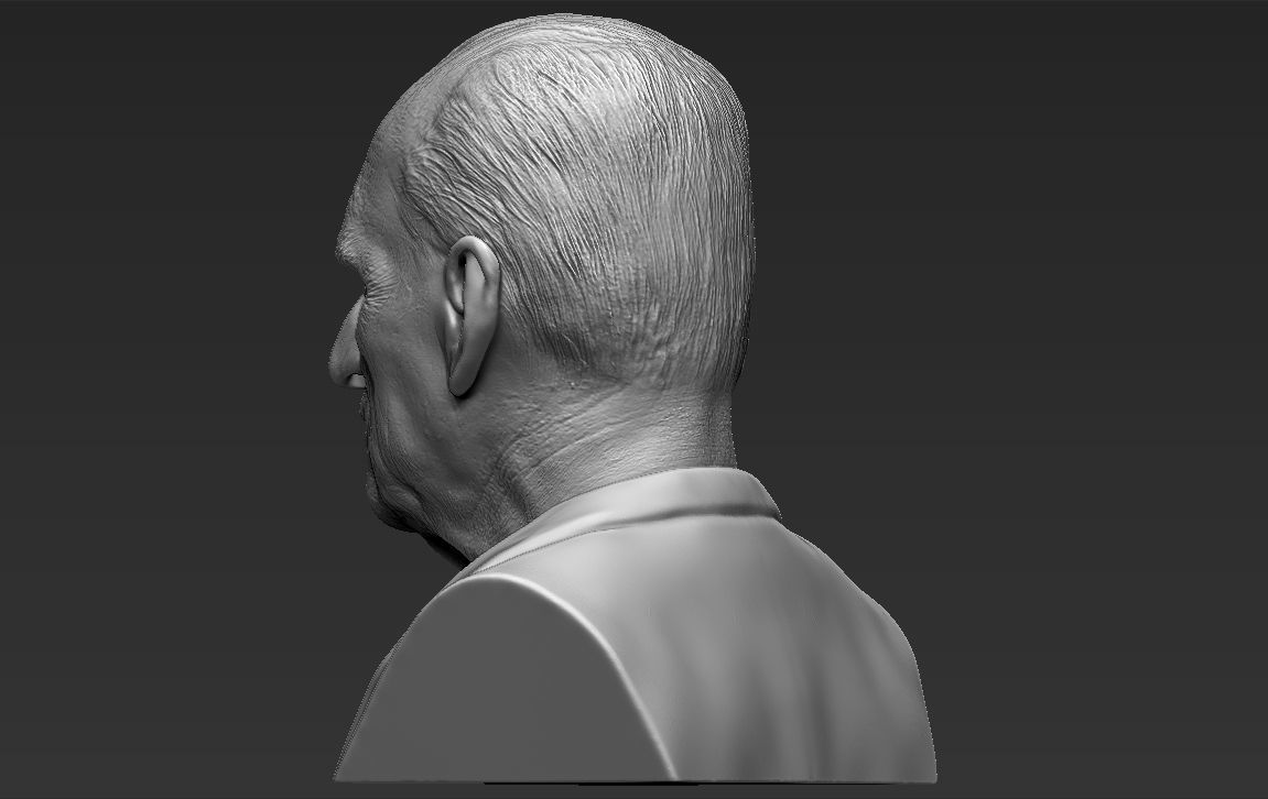 Prince Philip bust 3D printing ready stl obj formats 3D print model_5