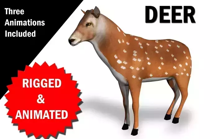Deer Rigged and Animated 3D model