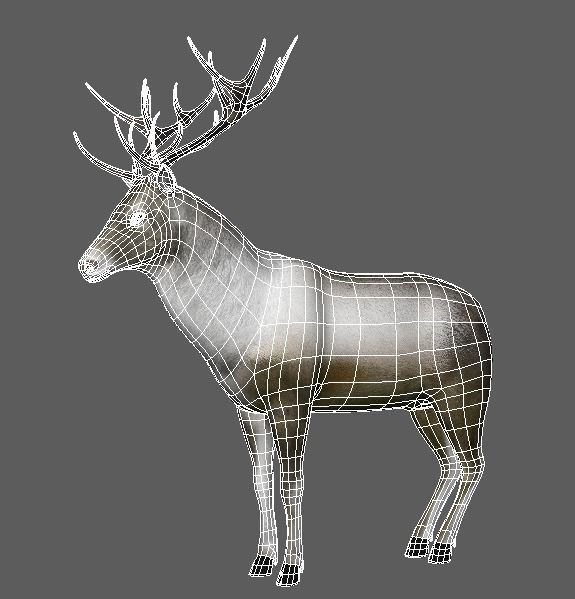 Reindeer RIgged and Animated 3D model_11