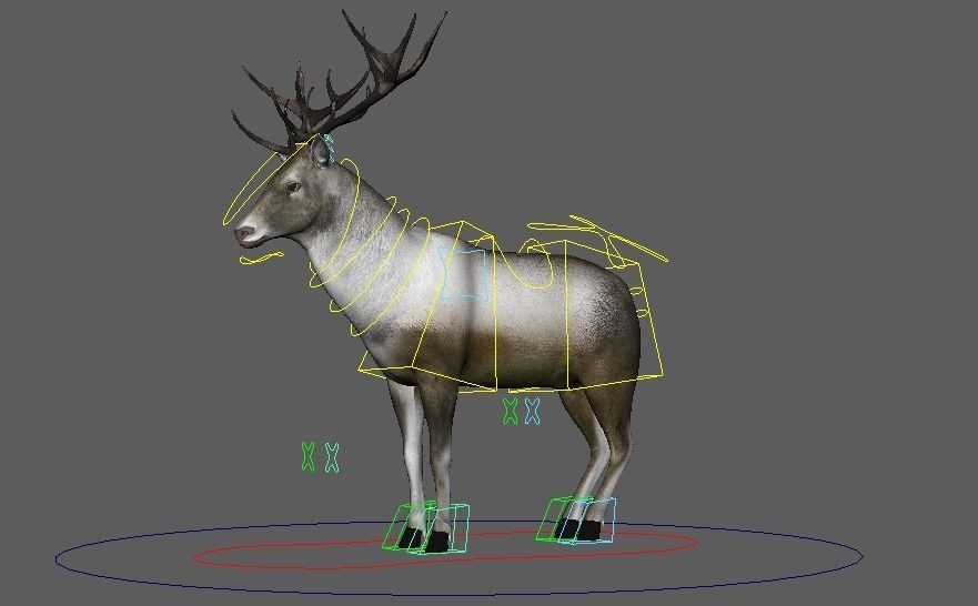 Reindeer RIgged and Animated 3D model_10