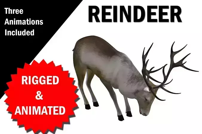 Reindeer RIgged and Animated 3D model