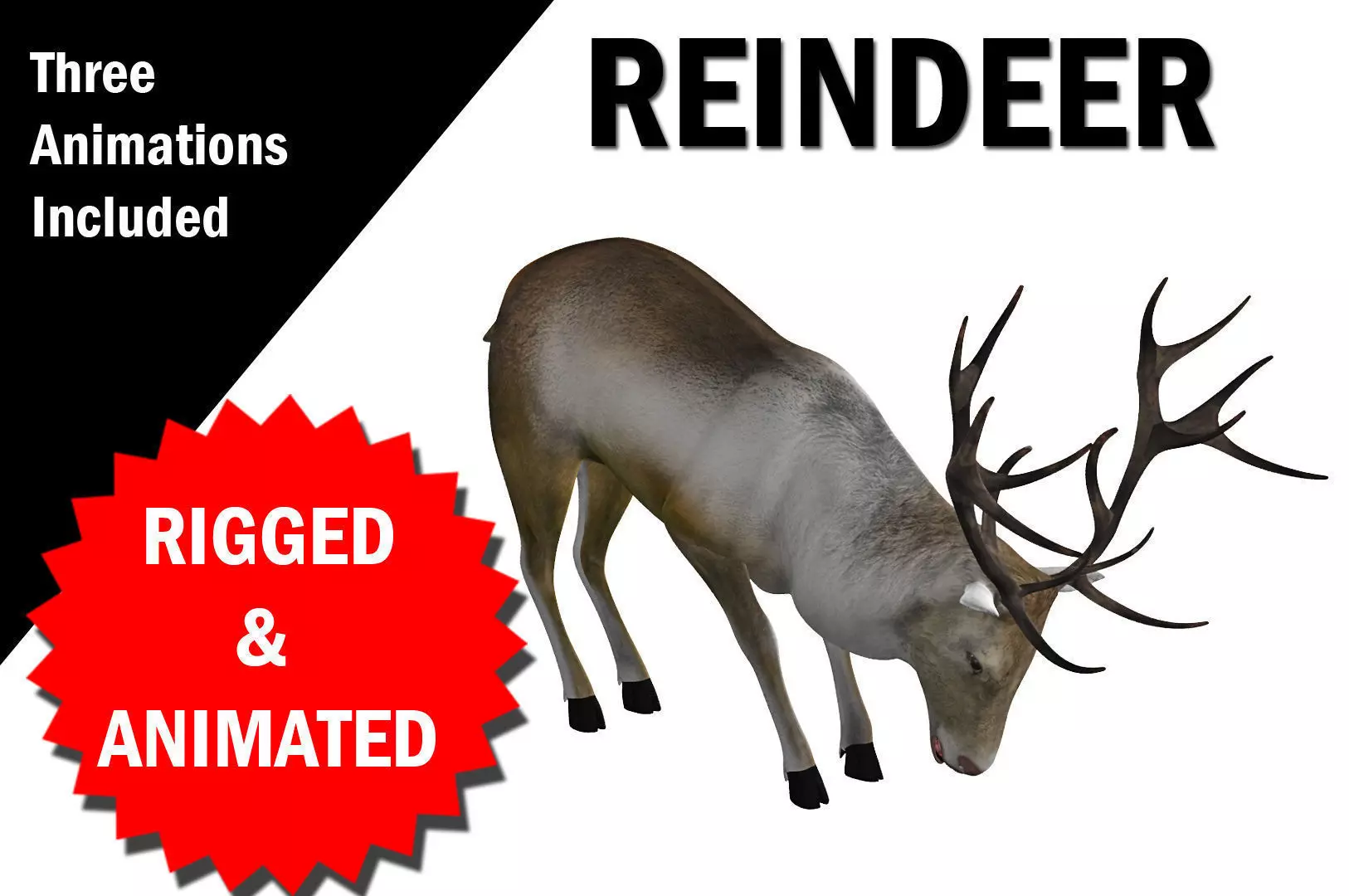 Reindeer RIgged and Animated 3D model_0