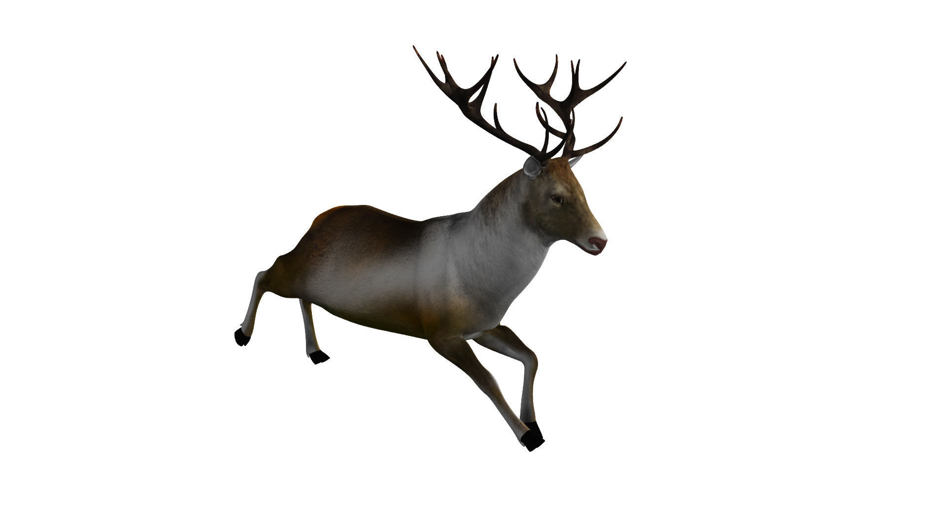 Reindeer RIgged and Animated 3D model_8