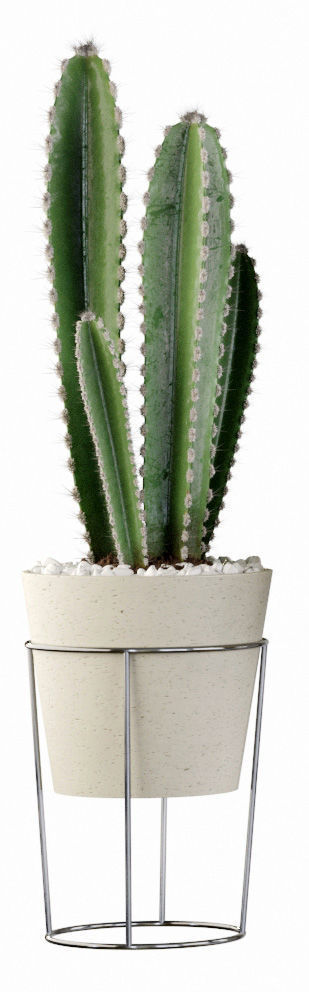 Plants collection 03 Cactus set 3D model_3