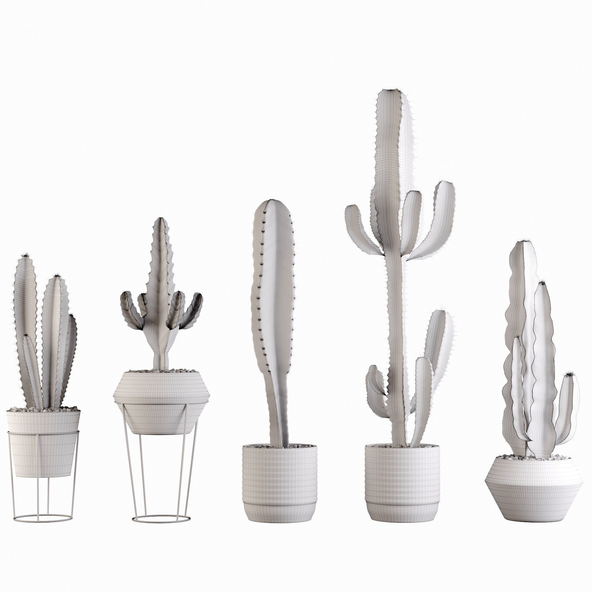 Plants collection 03 Cactus set 3D model_2