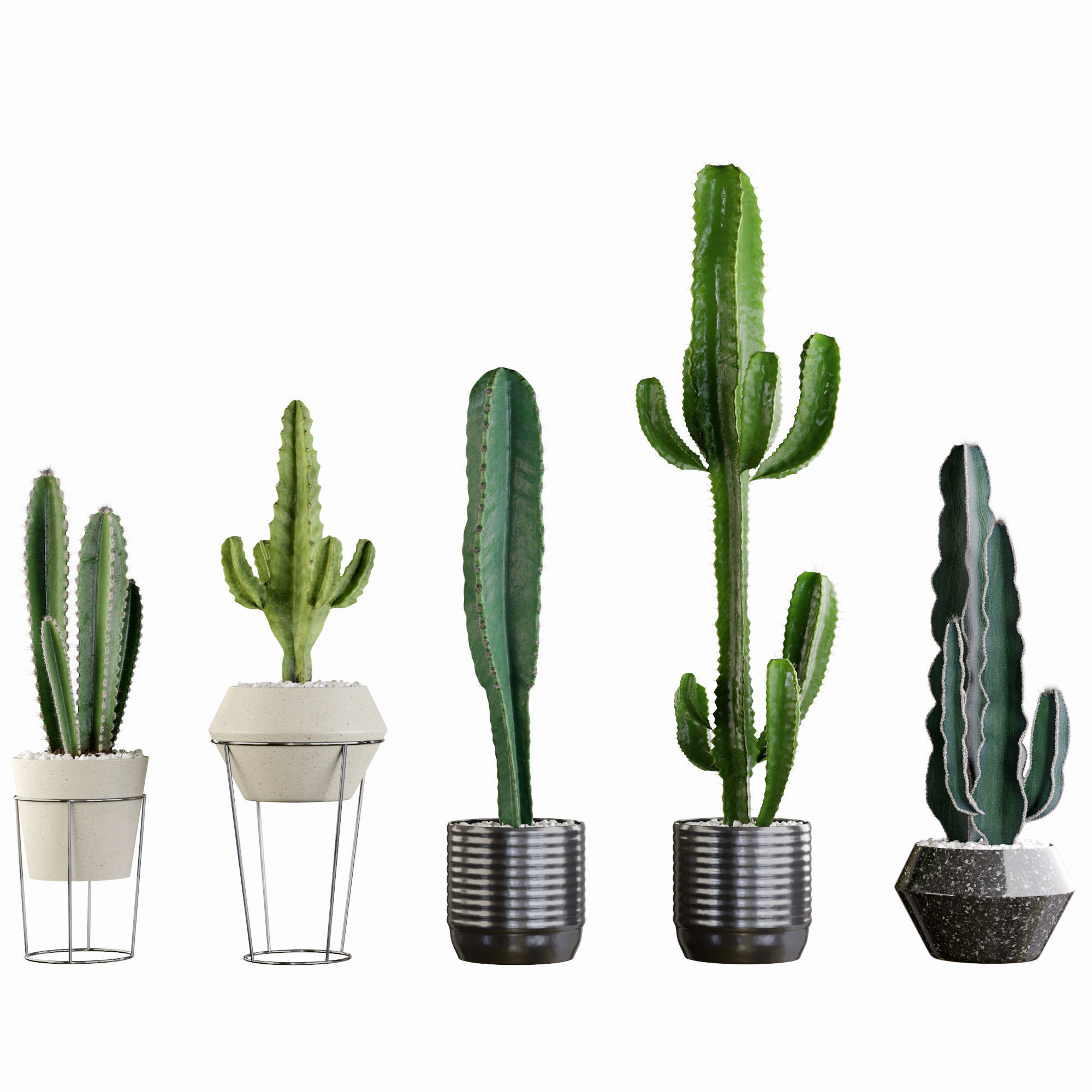 Plants collection 03 Cactus set 3D model_1