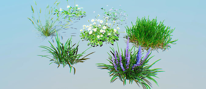 ground plants pack 01 Free 3D model