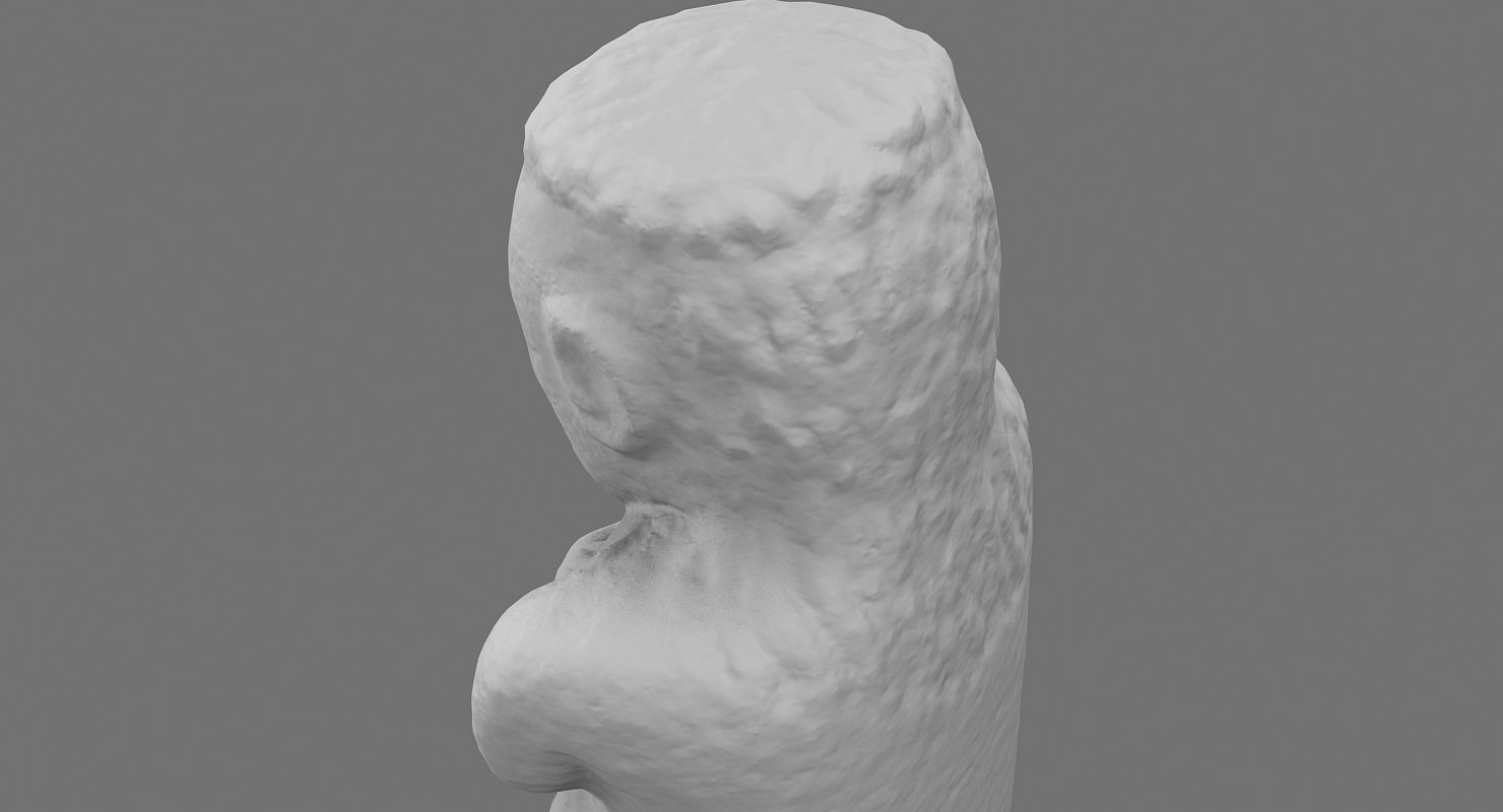 Idol 3D Scan 3D model_19