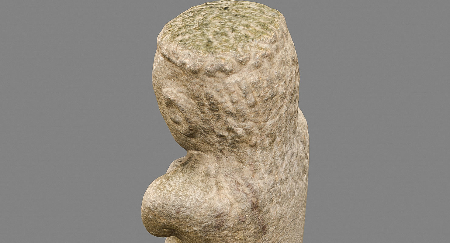 Idol 3D Scan 3D model_18