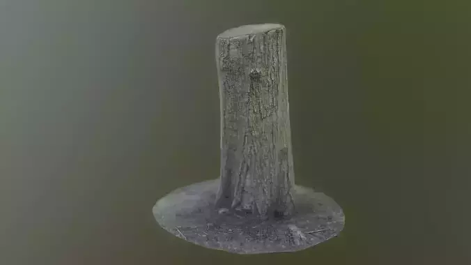 Tree Stump - High Poly original and Baked Low Poly PBR 8K