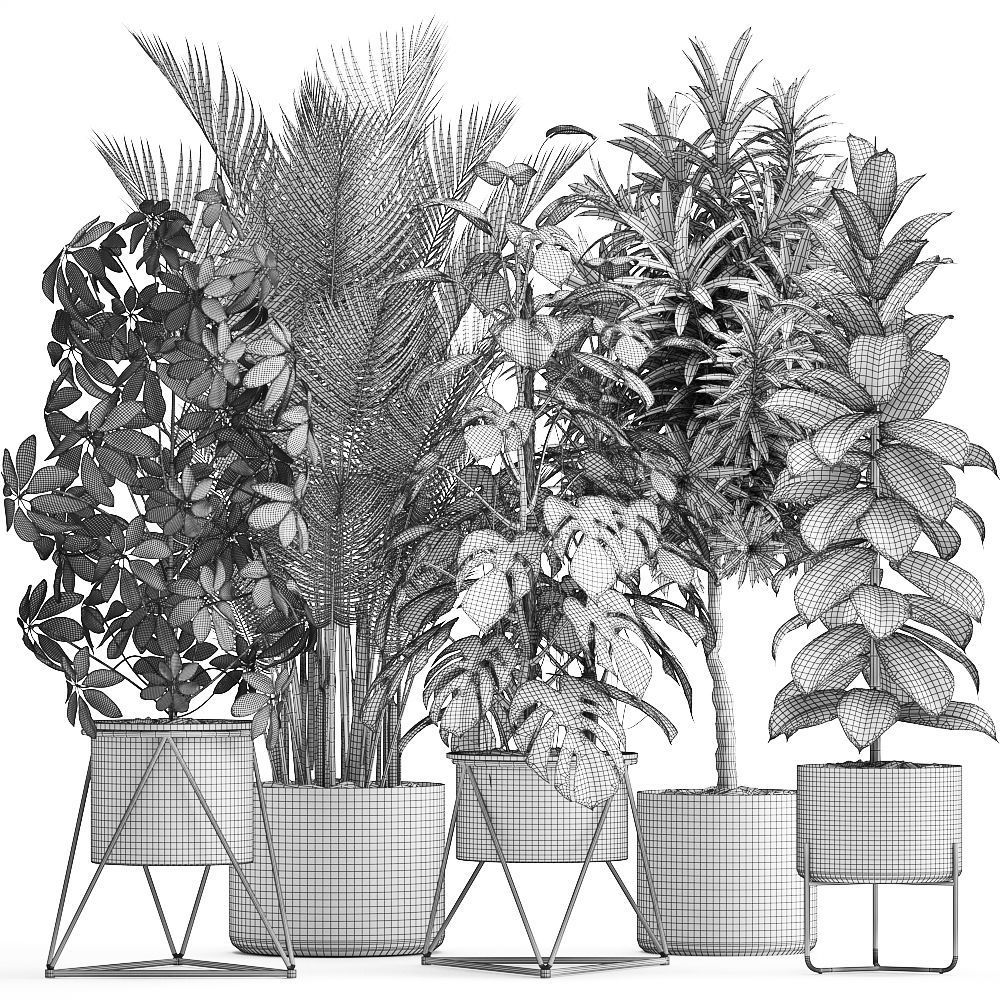 Collection of ornamental plants 3D model_9