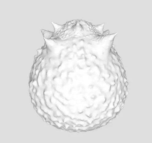 Horned Egg 3D print model