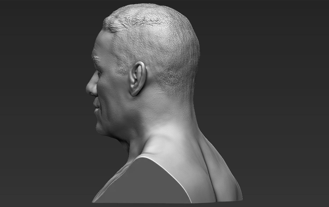 John Cena bust 3D printing ready stl obj formats 3D print model_6