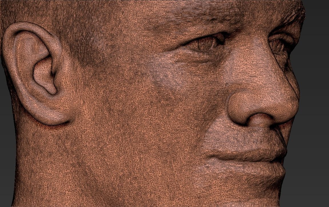 John Cena bust 3D printing ready stl obj formats 3D print model_33