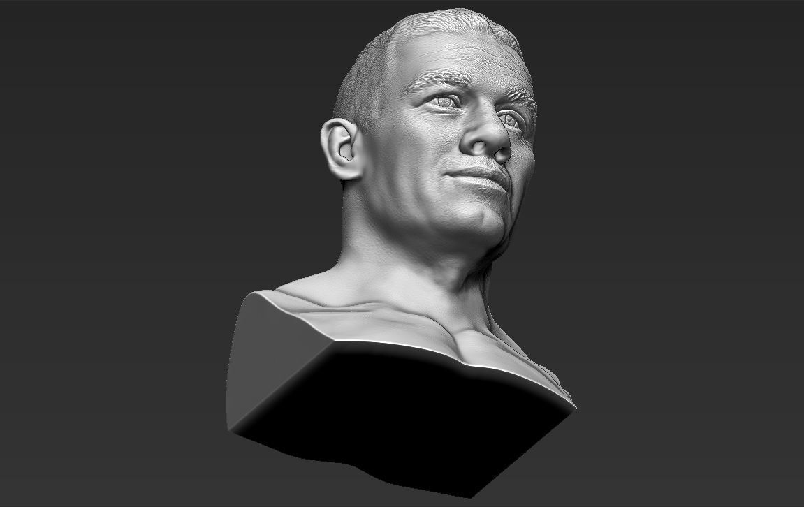 John Cena bust 3D printing ready stl obj formats 3D print model_21