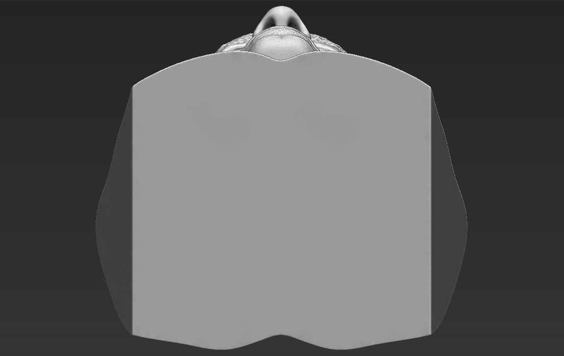 John Cena bust 3D printing ready stl obj formats 3D print model_23