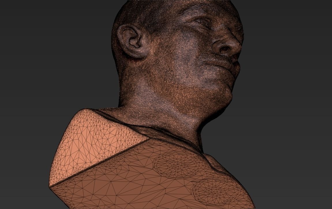John Cena bust 3D printing ready stl obj formats 3D print model_34