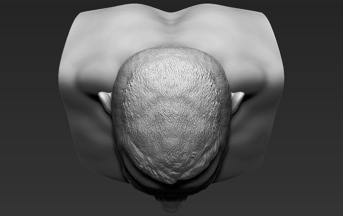 John Cena bust ready for full color 3D printing 3D print model_45