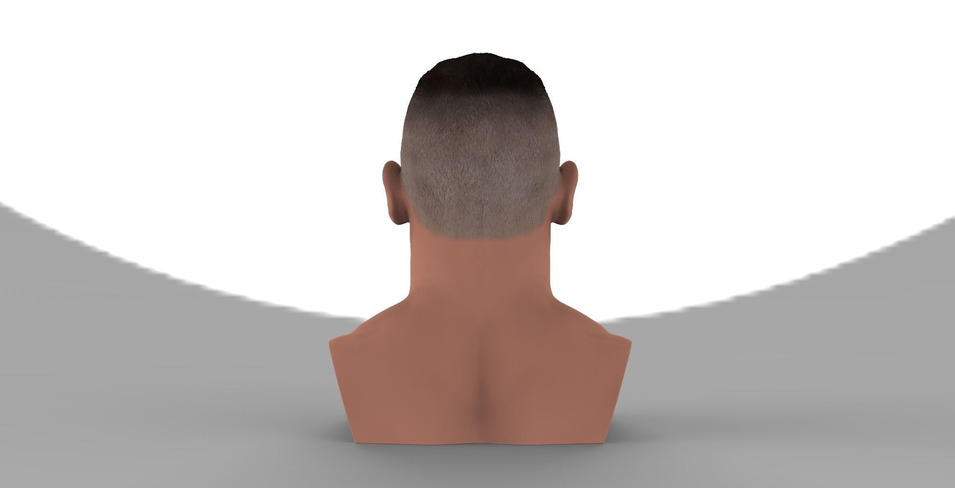 John Cena bust ready for full color 3D printing 3D print model_6