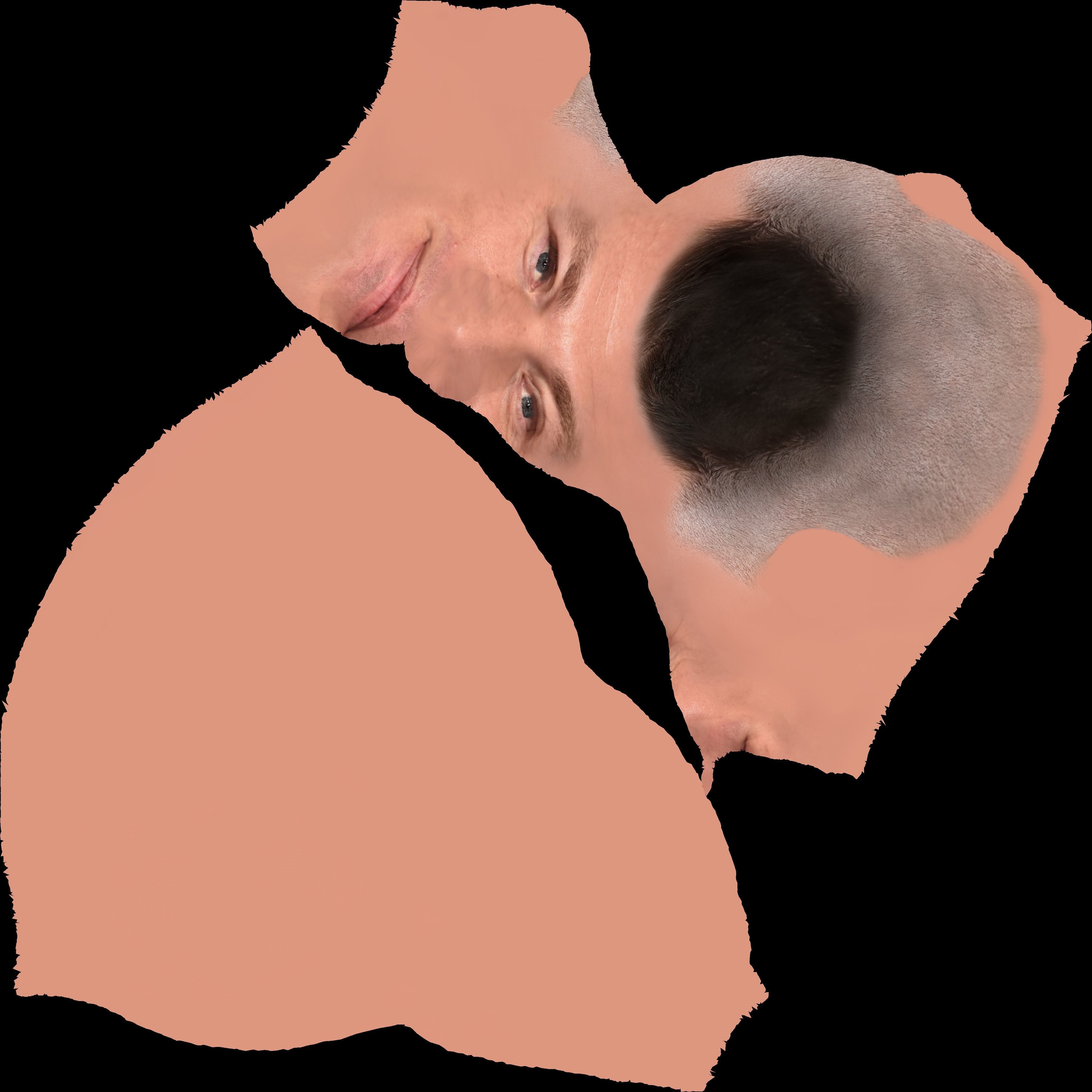 John Cena bust ready for full color 3D printing 3D print model_24