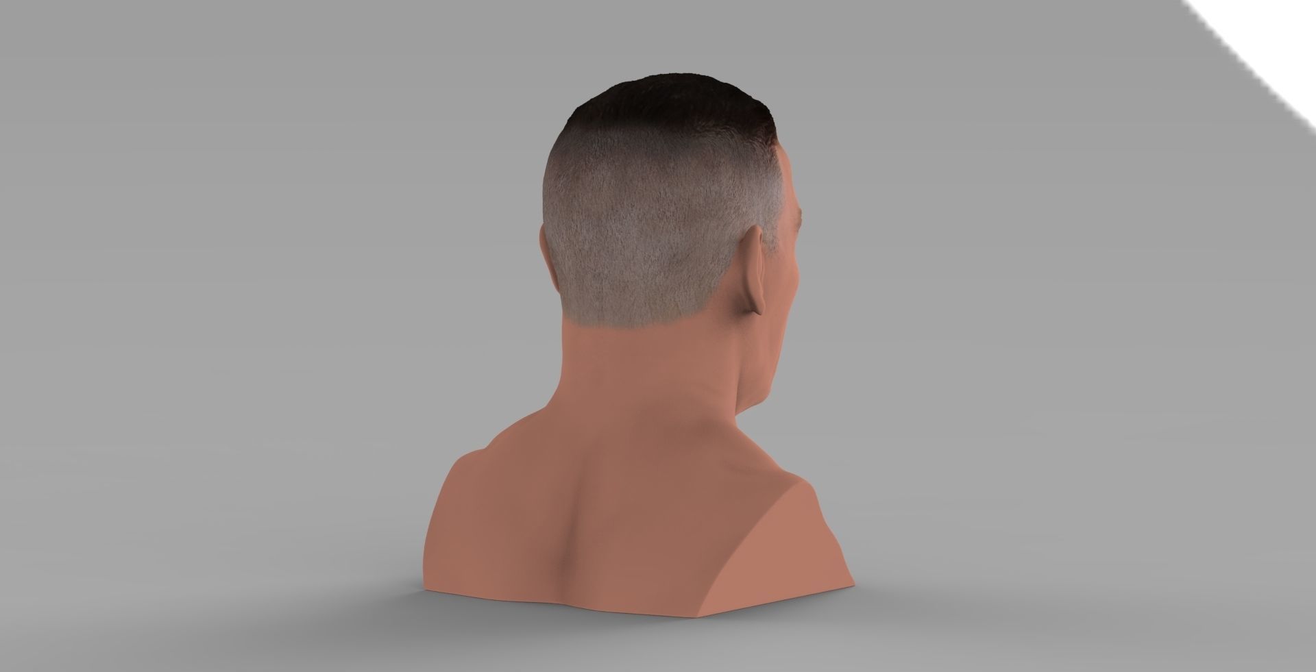 John Cena bust ready for full color 3D printing 3D print model_7