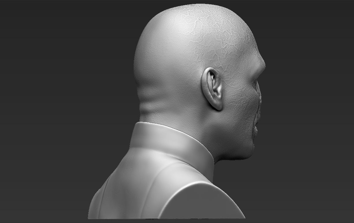 Lord Voldemort bust 3D printing ready stl obj formats 3D print model_9