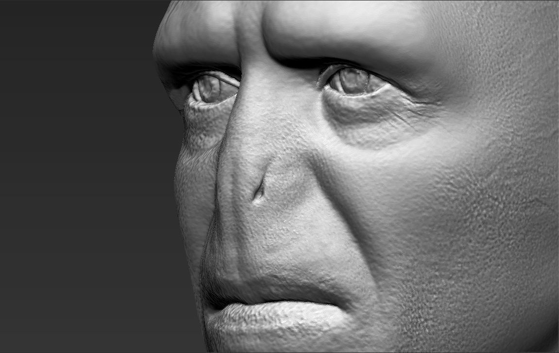 Lord Voldemort bust 3D printing ready stl obj formats 3D print model_21