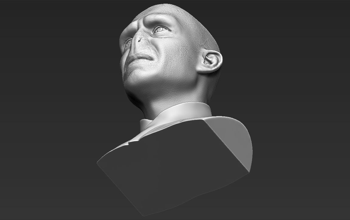 Lord Voldemort bust 3D printing ready stl obj formats 3D print model_26