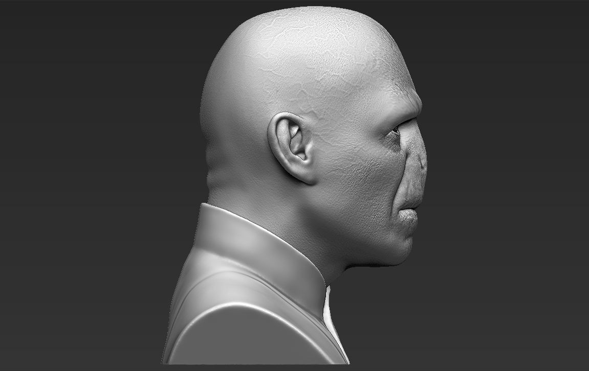 Lord Voldemort bust 3D printing ready stl obj formats 3D print model_10
