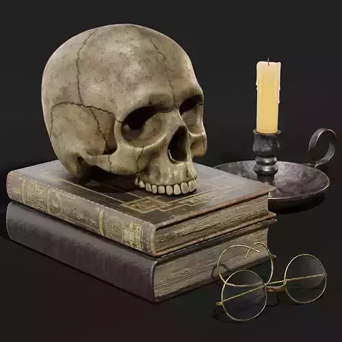Skull and Books 3D model