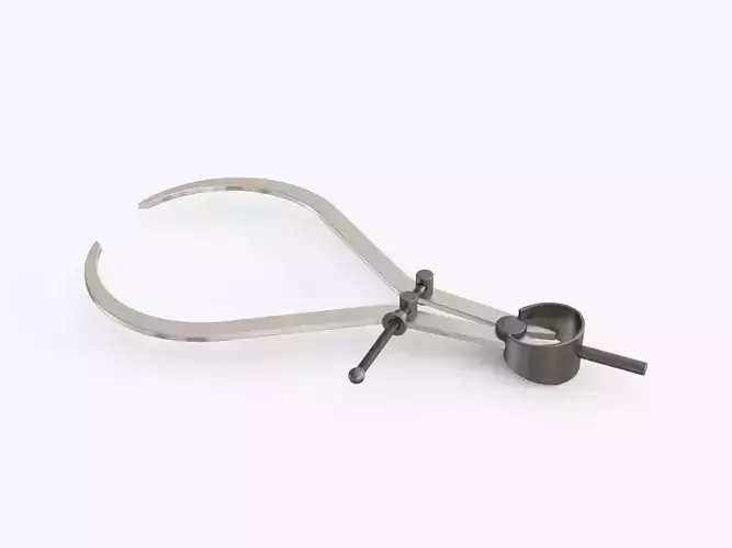 Caliper 03