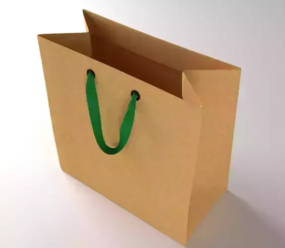 Paper Shopping Bag with Ribbin Handle  3D model