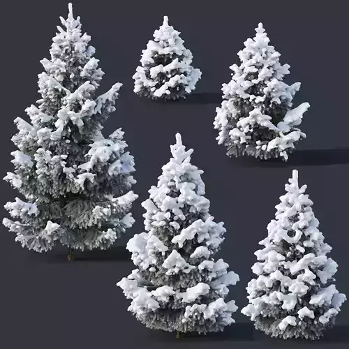 Spruce Nr2 - Winter Six sizes H1-3m 3D model