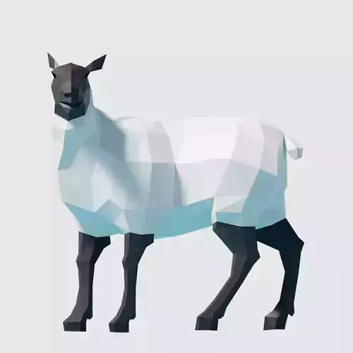 Sheep polygonal