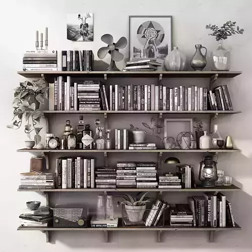 Decor Set 3D Model wooden shelf with books and plants