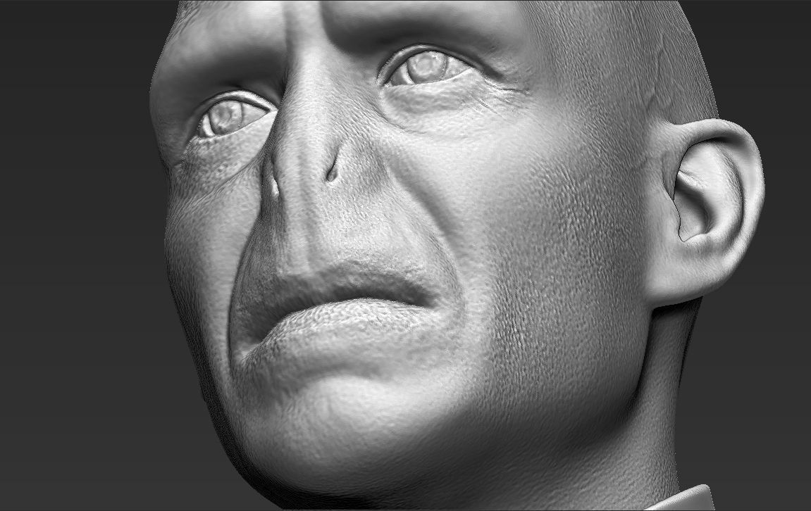 Lord Voldemort bust ready for full color 3D printing 3D print model_50