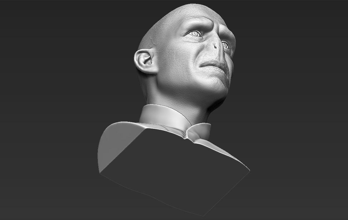 Lord Voldemort bust ready for full color 3D printing 3D print model_52
