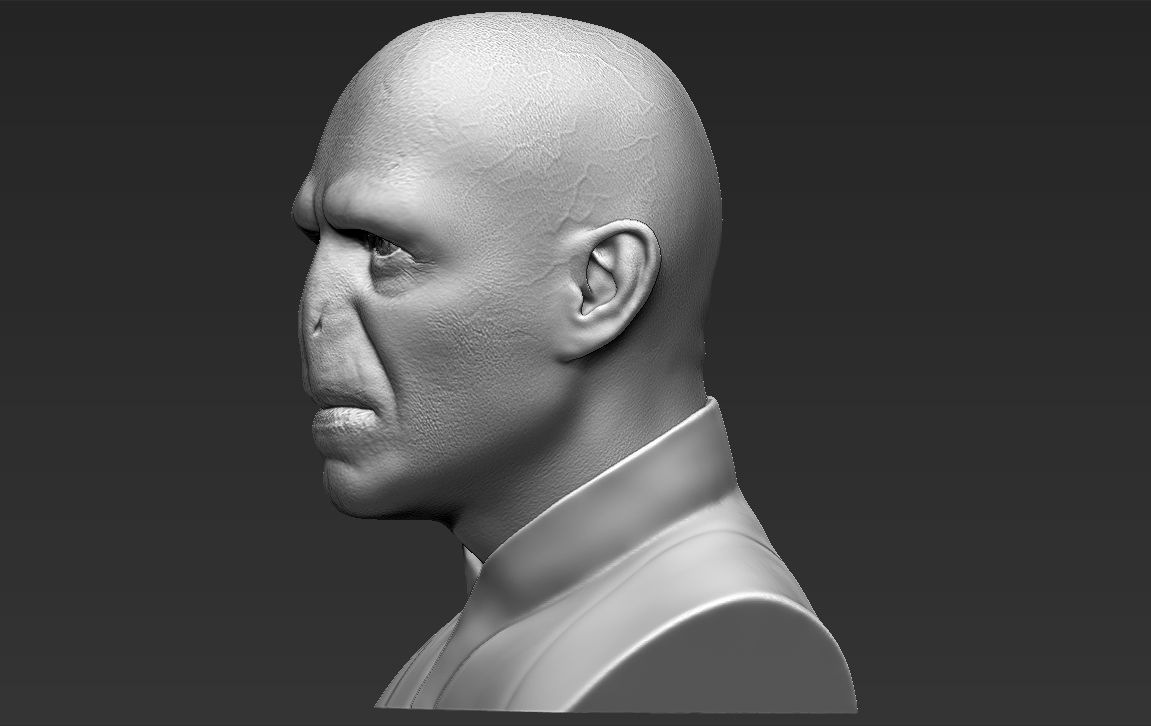 Lord Voldemort bust ready for full color 3D printing 3D print model_28