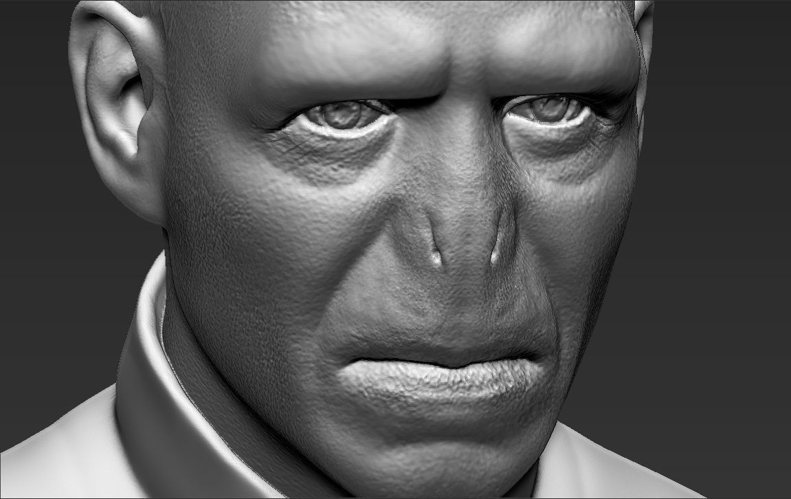 Lord Voldemort bust ready for full color 3D printing 3D print model_48