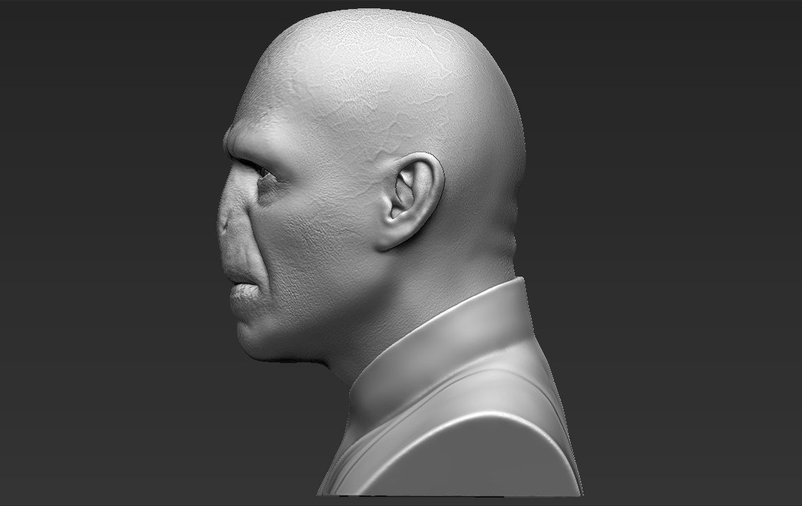 Lord Voldemort bust ready for full color 3D printing 3D print model_29