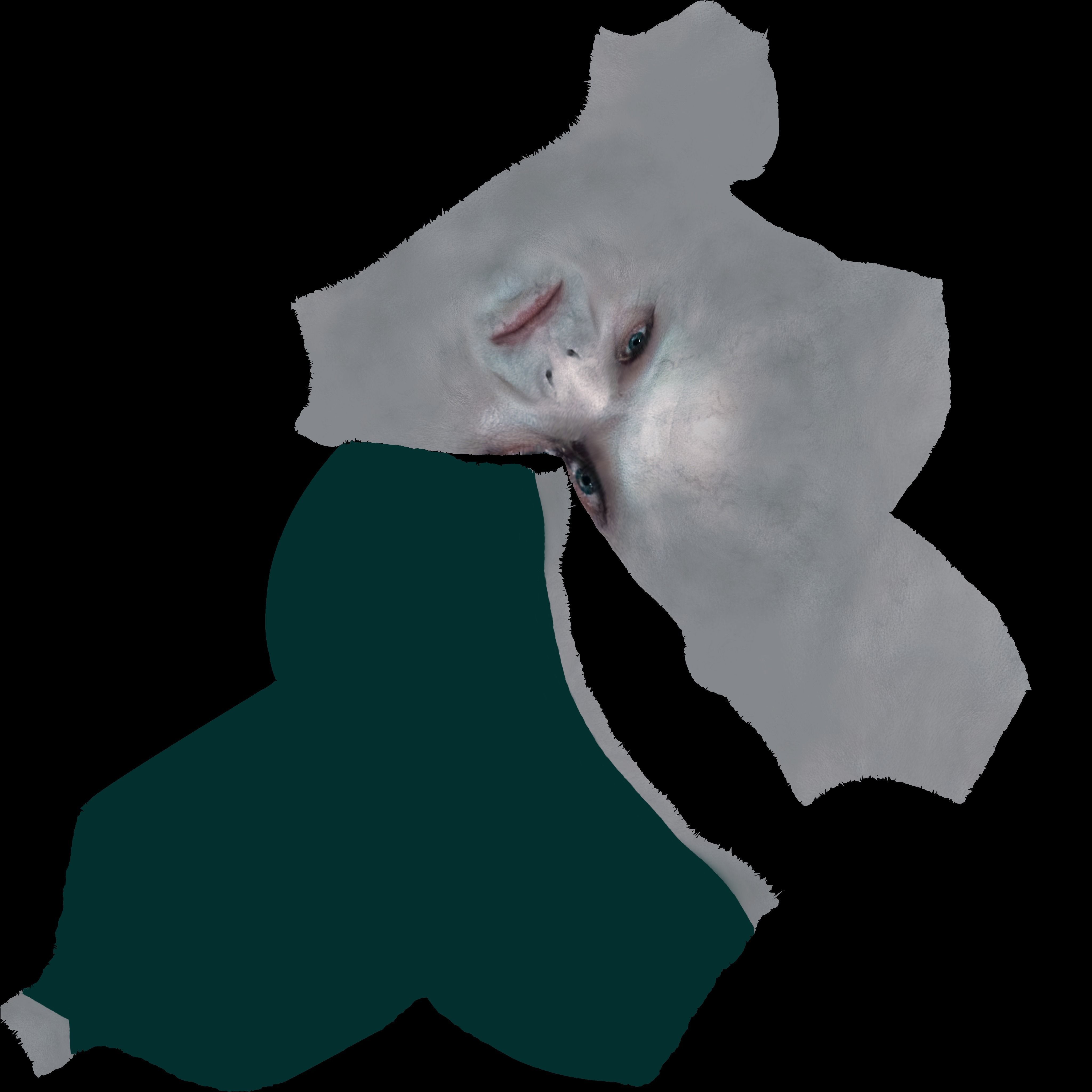 Lord Voldemort bust ready for full color 3D printing 3D print model_24