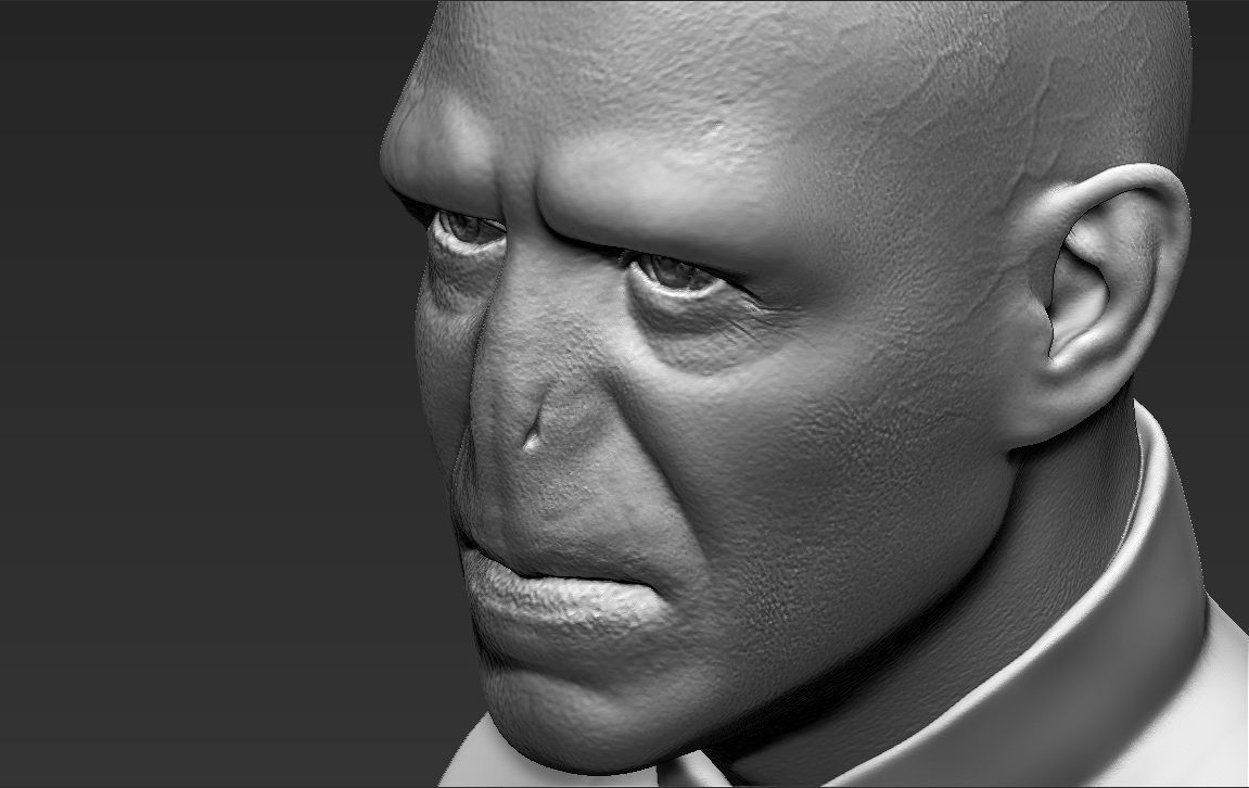 Lord Voldemort bust ready for full color 3D printing 3D print model_47