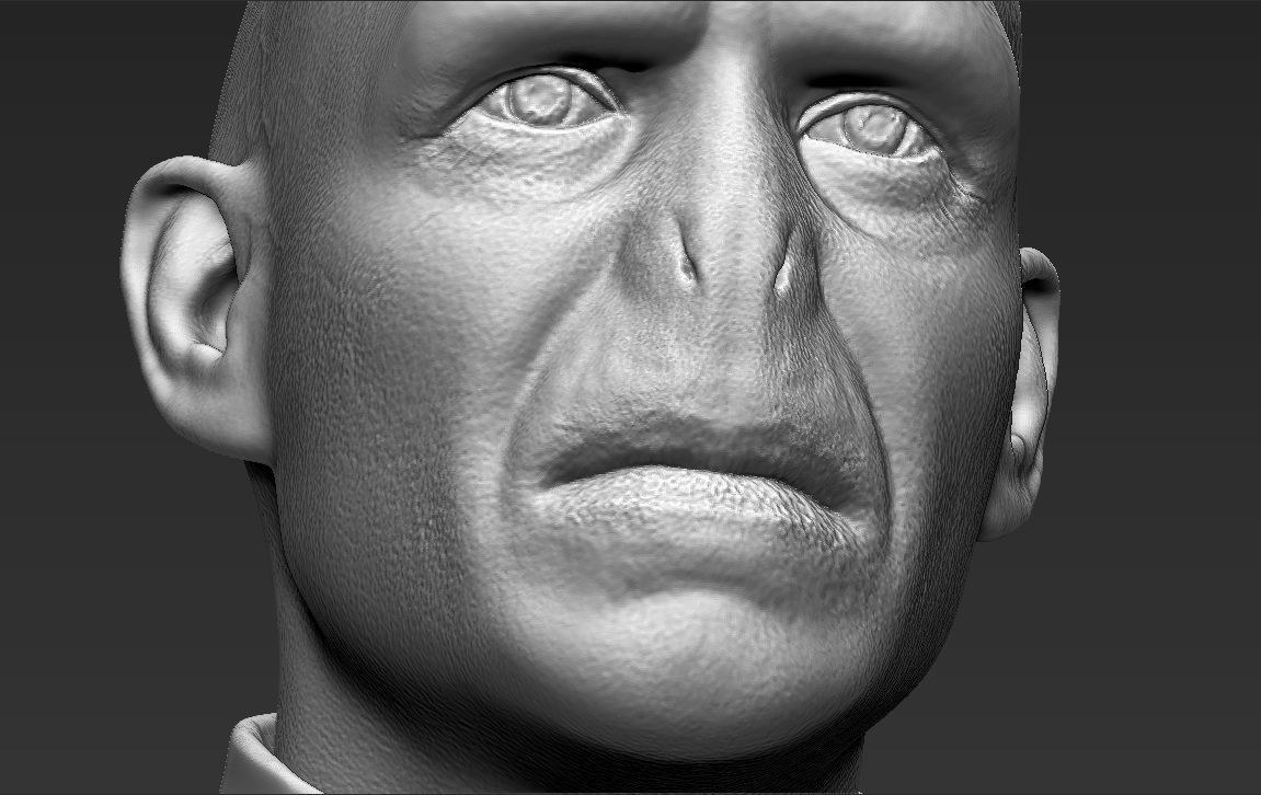 Lord Voldemort bust ready for full color 3D printing 3D print model_49