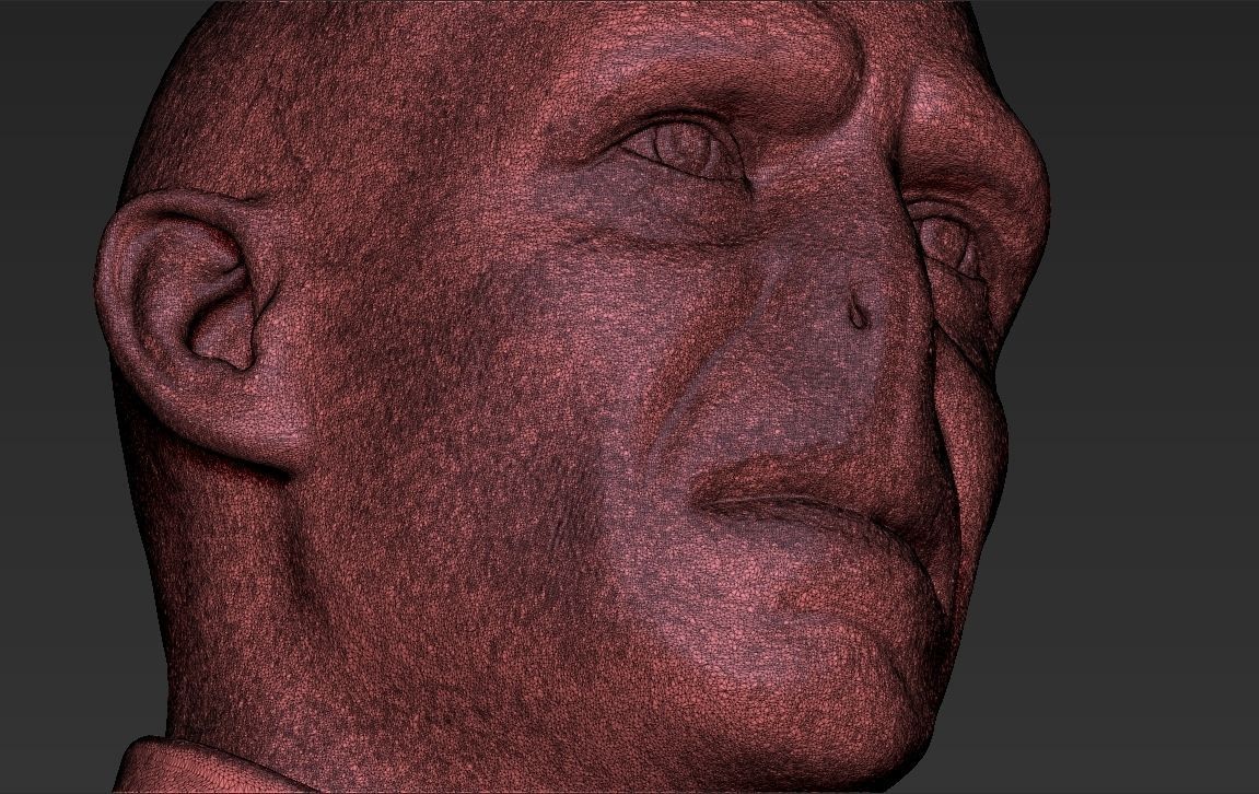 Lord Voldemort bust ready for full color 3D printing 3D print model_56
