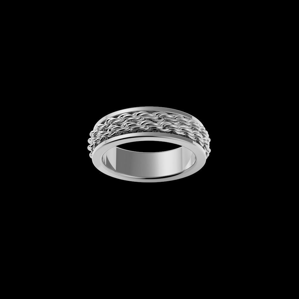 Double Rope Mens Band Ring 3D print model_1