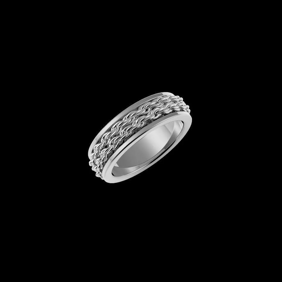 Double Rope Mens Band Ring 3D print model_0