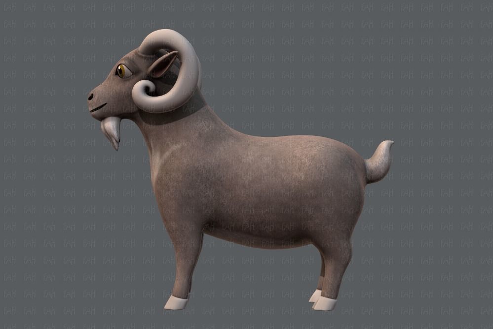 Sheep V01 Low-poly 3D model_7