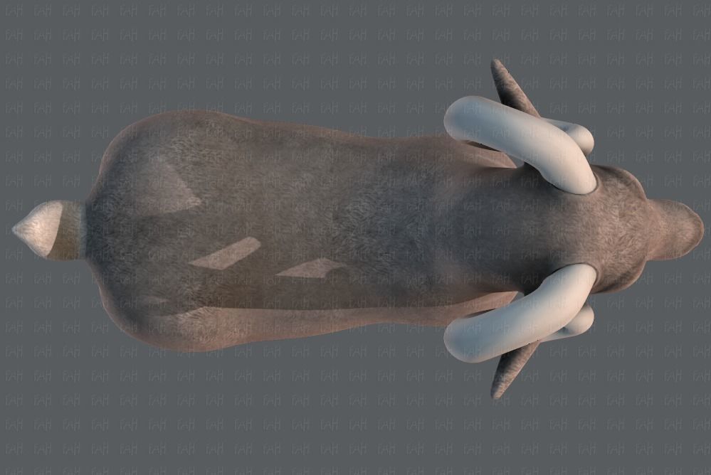 Sheep V01 Low-poly 3D model_35